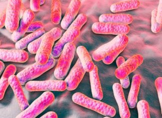 Acne treatments : new solution using microbiome