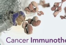 Powerful tumour- killing effect – Metal chemotherapy drugs boost the impact of immunotherapy in cancer