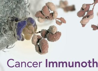 Powerful tumour- killing effect – Metal chemotherapy drugs boost the impact of immunotherapy in cancer