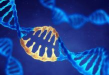 Researchers have discovered age and health related differences in fragments of DNA