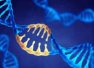 Researchers have discovered age and health related differences in fragments of DNA