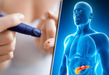 Researchers shows a novel mechanism for the development of diabetes as well as a potential therapeutic target for its prevention
