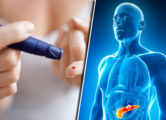 Researchers shows a novel mechanism for the development of diabetes as well as a potential therapeutic target for its prevention