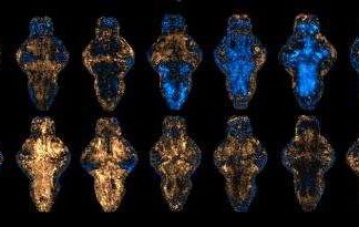 Found a shortcut to developing a new drug which can potentially reduce the time and costs of developing new drugs