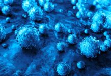 Cancer drugs vorinostat, belinostat and panobinostat might be repurposed to treat infections caused by human papillomaviruses