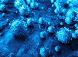 Cancer drugs vorinostat, belinostat and panobinostat might be repurposed to treat infections caused by human papillomaviruses