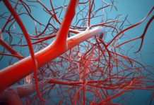 Kidney dialysis can cause short-term cerebral stunning and may be associated with progressive brain injury