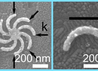 Rice University researchers have discovered a fundamentally different form of light-matter interaction