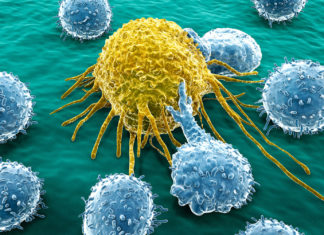 Opioid use and misuse following treatment for head and neck cancer