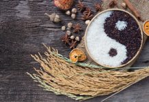 The yin-yang nature of dopamine could have implications for treatment of addiction and other mental disorders