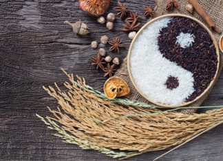 The yin-yang nature of dopamine could have implications for treatment of addiction and other mental disorders