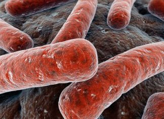 Tuberculosis vulnerability : Study identifies genetic mutation