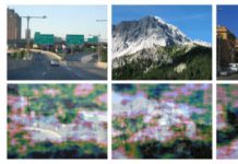 Understanding the human visual system can improve artificial intelligence for driverless cars