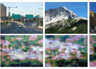 Understanding the human visual system can improve artificial intelligence for driverless cars