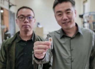 Weight loss : Tiny implantable device short-circuits hunger pangs