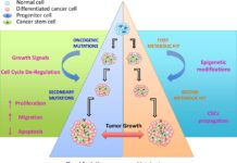 Unraveling the complexity of cancer biology can lead to the identification new molecules involved in breast cancer