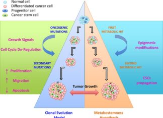 Unraveling the complexity of cancer biology can lead to the identification new molecules involved in breast cancer