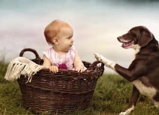 A team of researchers has found that infants grow with fewer allergies and other diseases when they live with pets