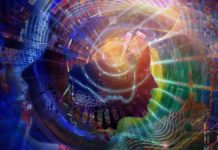 Researchers explore consciousness and argue our conscious processes may be formed by efficient non-conscious brain systems