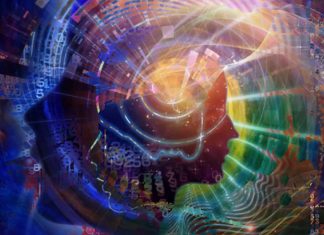 Researchers explore consciousness and argue our conscious processes may be formed by efficient non-conscious brain systems