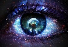 Understanding Consciousness: Assessing Brain Dynamics in Disorders of Consciousness