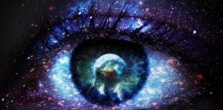 Understanding Consciousness: Assessing Brain Dynamics in Disorders of Consciousness