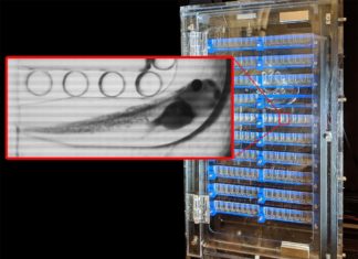 DARPA has signed a contract with the Wyss Institute to identify mechanisms and means to induce a state of suspended animation