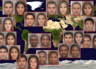 Faces draw us in and help us navigate relationships and the world around us