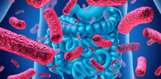 The fatty acid propionate helps defend against the effects of high blood pressure