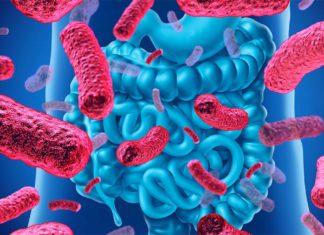 The fatty acid propionate helps defend against the effects of high blood pressure