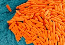 A simple compound found in our gut could help to stop dangerous bacteria behind severe hospital infections