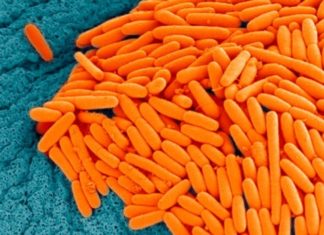 A simple compound found in our gut could help to stop dangerous bacteria behind severe hospital infections
