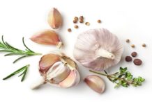 Oils from garlic and several other common herbs and medicinal plants show strong activity against the bacterium that causes Lyme disease