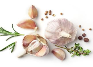 Oils from garlic and several other common herbs and medicinal plants show strong activity against the bacterium that causes Lyme disease