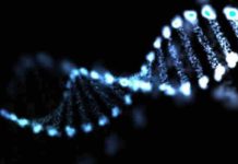 International researchers has discovered 11 new genes associated with epilepsy
