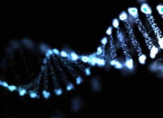 International researchers has discovered 11 new genes associated with epilepsy