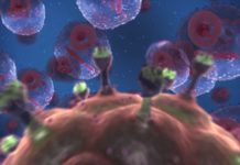 A new study suggests that a genetic switch that causes latent HIV inside cells to begin to replicate can be manipulated to completely eradicate the virus from the human body