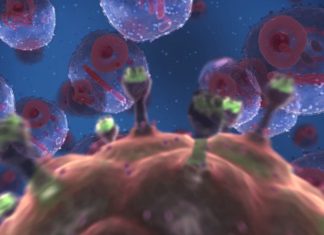 A new study suggests that a genetic switch that causes latent HIV inside cells to begin to replicate can be manipulated to completely eradicate the virus from the human body