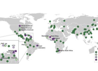 Kidney disease : Researchers discovert hat affects more populations than previously thought