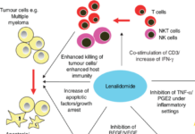 Hope has emerged for patients with a serious type of bone marrow cancer as new research into a therapeutic drug has revealed improved outcomes and survival rates