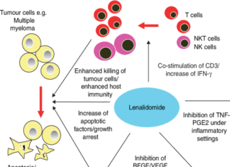 Hope has emerged for patients with a serious type of bone marrow cancer as new research into a therapeutic drug has revealed improved outcomes and survival rates
