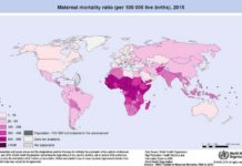 New research to save the life of women from postpartum hemorrhaging – the world’s leading cause of death during and after childbirth