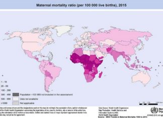 New research to save the life of women from postpartum hemorrhaging – the world’s leading cause of death during and after childbirth