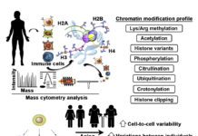 Researchers lead the development of the new methods and profile different kinds of cells including immune cells, stem cells, etc