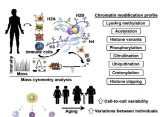 Researchers lead the development of the new methods and profile different kinds of cells including immune cells, stem cells, etc