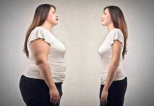 Removing the RCAN1 gene reduced weight gain