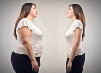 Removing the RCAN1 gene reduced weight gain