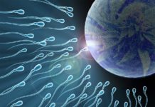 Cannabis use affects the genetic profile in sperm
