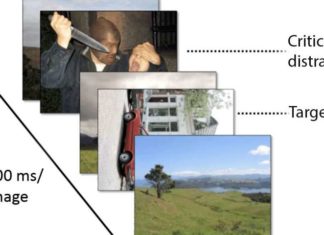 People who frequently play violent video games are more immune to disturbing images than non-players