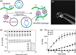 3-D culturing hepatocytes – drug discovery, toxicology and tissue engineering research